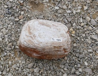  Vorschaubild FI105-35905