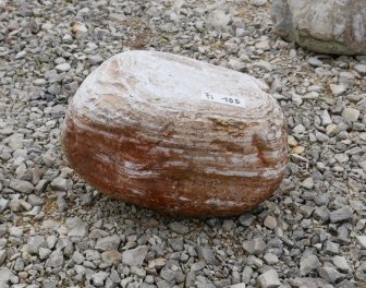  Vorschaubild FI105-35905