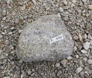  Vorschaubild FI110-35910