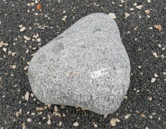  Vorschaubild FI117-35916