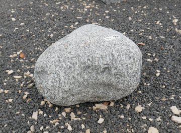  Vorschaubild FI117-35916