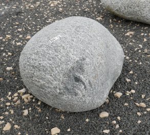  Vorschaubild FI119-35918