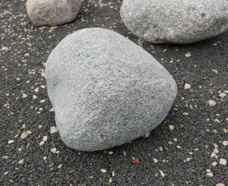  Vorschaubild FI119-35918