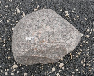  Vorschaubild FI120-35919