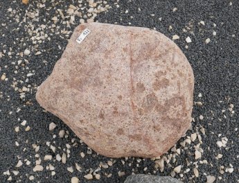  Vorschaubild FI122-35921