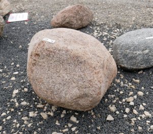  Vorschaubild FI122-35921