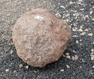  Vorschaubild FI124-35923