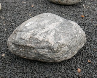  Vorschaubild FI131-35871