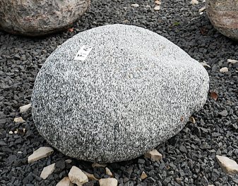  Vorschaubild FI142-35882