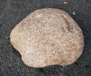  Vorschaubild FI149-35889