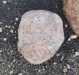  Vorschaubild FI150-35890