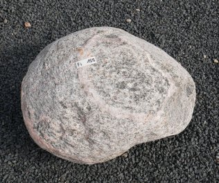  Vorschaubild FI155-35895