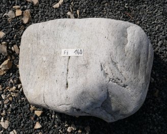  Vorschaubild FI160-35900