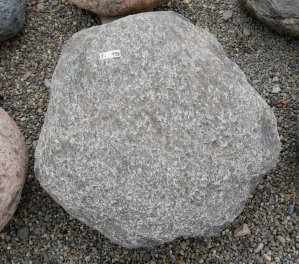  Vorschaubild FI170-35939