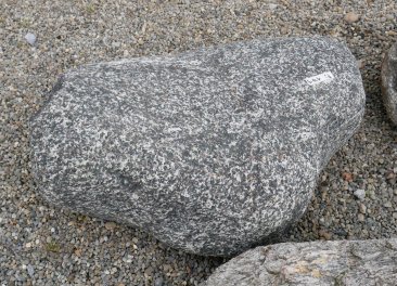  Vorschaubild FI171-35940