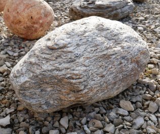  Vorschaubild FI175-35944