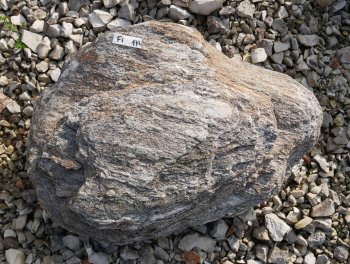  Vorschaubild FI177-35946