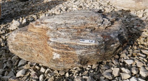  Vorschaubild FI177-35946