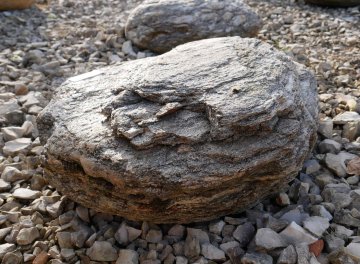  Vorschaubild FI177-35946