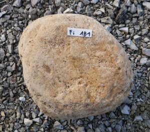  Vorschaubild FI181-35950