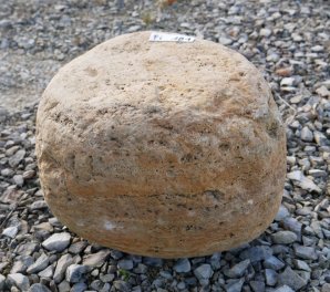  Vorschaubild FI181-35950