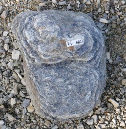  Vorschaubild FI182-35951