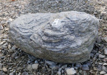  Vorschaubild FI182-35951