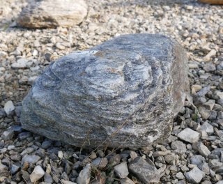  Vorschaubild FI182-35951