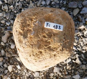  Vorschaubild FI183-35952