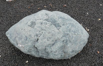  Vorschaubild FI185-36008