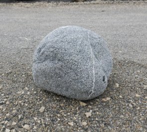  Vorschaubild FI190-36491