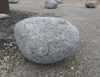  Vorschaubild FI191-36492