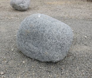  Vorschaubild FI192-36493