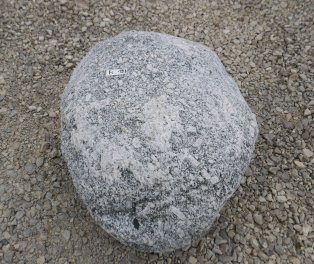  Vorschaubild FI193-36494