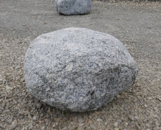  Vorschaubild FI193-36494