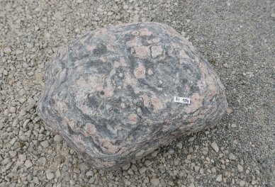  Vorschaubild FI194-36495
