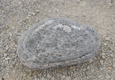  Vorschaubild FI195-36496