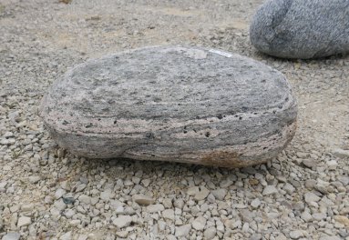  Vorschaubild FI195-36496