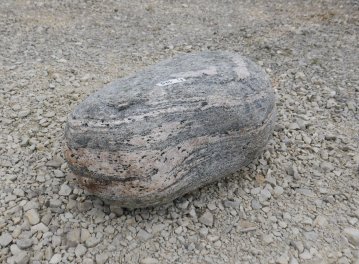  Vorschaubild FI195-36496