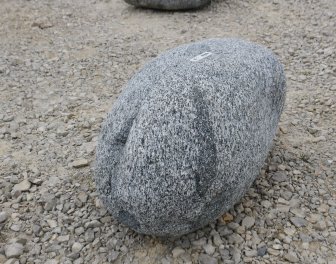  Vorschaubild FI196-36497