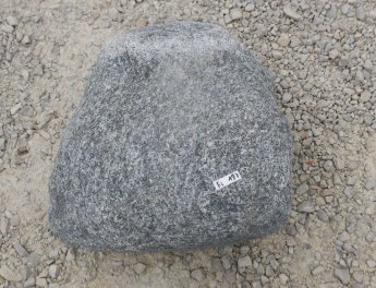  Vorschaubild FI197-36498