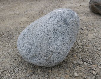  Vorschaubild FI198-36499