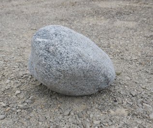  Vorschaubild FI198-36499