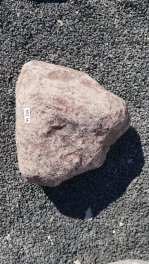  Vorschaubild FI204-37173
