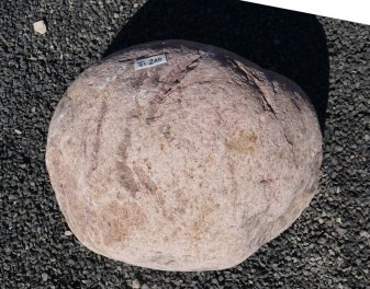  Vorschaubild FI210-37179