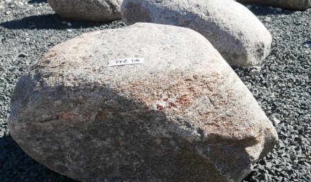  Vorschaubild FI212-37181
