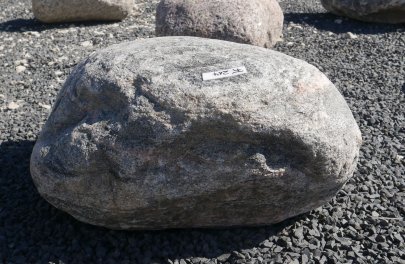  Vorschaubild FI214-37183
