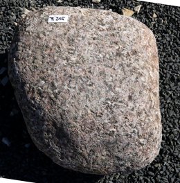  Vorschaubild FI215-37184