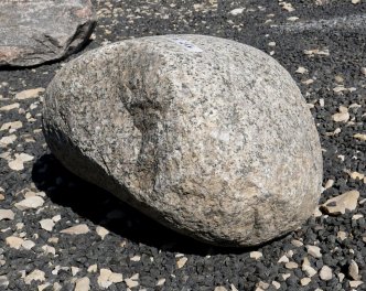  Vorschaubild FI216-37185