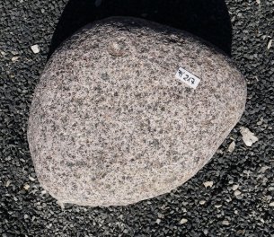  Vorschaubild FI217-37186